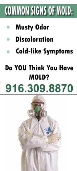 Sacramento Mold Remediation Contractor